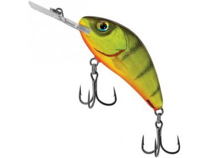 HOT PERCH 2