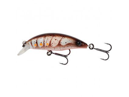 Brown Shrimp