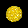 FISH ACTIV PLUS WORLD RECORD CORN