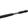 Prut Delphin WALKYRA 300cm/850g