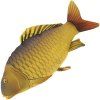 NGT Polštář Kapr Šupináč Pilllow Carp 35 cm