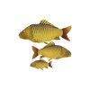 NGT Polštář Kapr Šupináč Pilllow Carp 35 cm 3