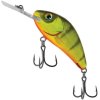 HOT PERCH 2
