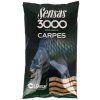 3000 Carpes