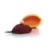 Cherry & fish protein 23