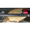 Sportex Invictus Carp 7