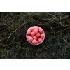Wild Strawberry pop 2