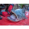 Hell Cat plachta pod sumce 290 x 145 cm 2
