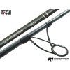 TICA Prut Scepter R1 2