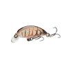 Brown Shrimp 2