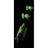 Madcat Stojan Heavy Duty Tri Pod 2Rods 2