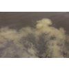 Nikl Boilie Economic Feed Rape Cloud 5