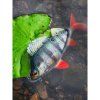 Fox Rage Ultra Realistic Perch Replicant 4