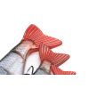 Fox Rage Pro Shad Jointed Loaded UV Natural Roach 4