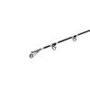 Sumcový prut Delphin ENERGY Catfish 250 500g 2 díly 5