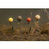 Korda Umělé Boilie Pop Up Boilie Essential Cell 3