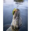 Salmo Wobler Hornet Floating Hot Perch 5